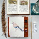 Eurasian Jay Original Watercolour Painting Unframed