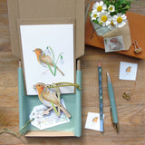 Robin Decoration and Card Letterbox Gift