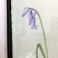 English Bluebell Original Watercolour Painting