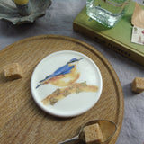 nuthatch bird coaster