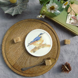 nuthatch china coaster