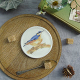 nuthatch illustrated coaster