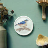 nuthatch china plate