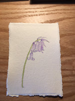 English Bluebell Original Watercolour Painting