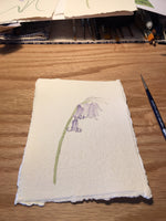 English Bluebell Original Watercolour Painting