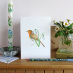 Robin and Snowdrops Christmas Card