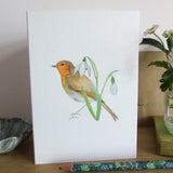 Robin and Snowdrops Christmas Card