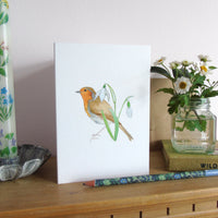 Robin and Snowdrops Christmas Card