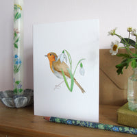 Robin and Snowdrops Christmas Card