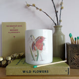 small ceramic robin and snowdrop lantern