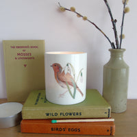 Robin and snowdrop bone china candle holder