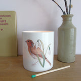 Robin and snowdrop bone china candle holder