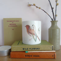 Robin and snowdrop bone china candle holder