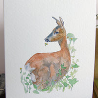 Roe Deer and Buttercups Card