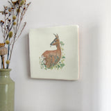 roe deer watercolour illustration nursery art