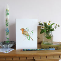 Robin and Snowdrops Christmas Card