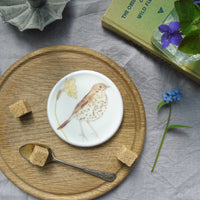 Spring Garden Bone China Coasters