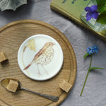 songthrush coaster