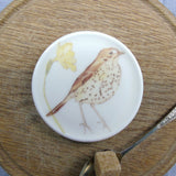 SECONDS Song thrush bone china coaster