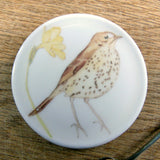 SECONDS Song thrush bone china coaster