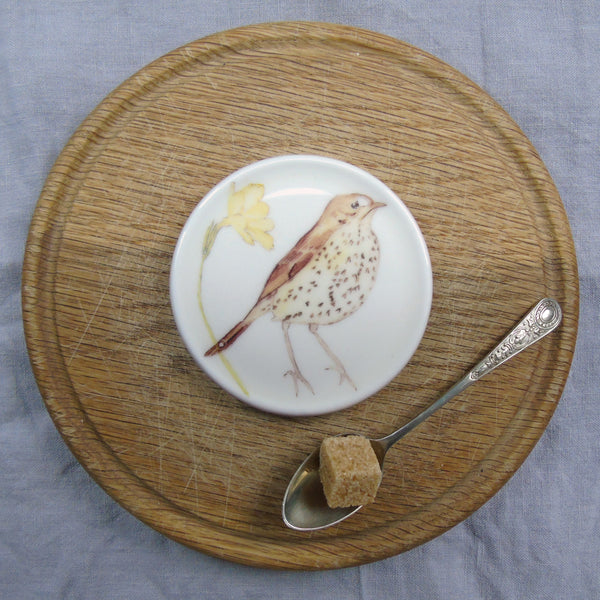 SECONDS Song thrush bone china coaster