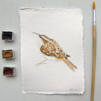 Treecreeper Original Watercolour Painting Unframed