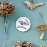 treecreeper watercolour decorative plate