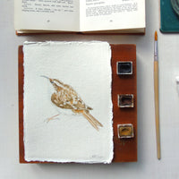 Treecreeper Original Watercolour Painting Unframed