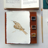 Treecreeper Original Watercolour Painting Unframed