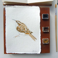 Treecreeper Original Watercolour Painting Unframed