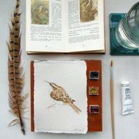 Treecreeper Original Watercolour Painting Unframed