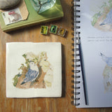 Nesting Kittiwake Ceramic Tile Wall Art