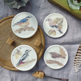 Woodland Birds Bone China Coasters