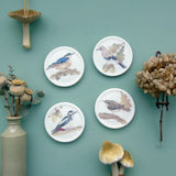 Woodland Birds mini wall plates