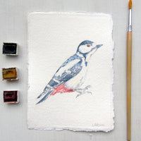Great Spotted Woodpecker Original Watercolour Painting Unframed