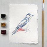 Great Spotted Woodpecker Original Watercolour Painting Unframed