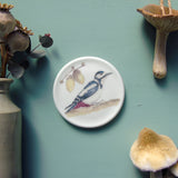 great spotted woodpecker wall art