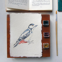 Great Spotted Woodpecker Original Watercolour Painting Unframed