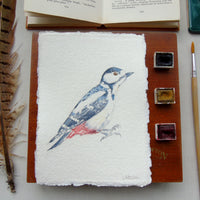 Great Spotted Woodpecker Original Watercolour Painting Unframed