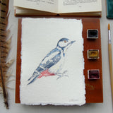 Great Spotted Woodpecker Original Watercolour Painting Unframed