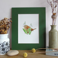 Wren and snowdrops A5 Giclée Fine Art Print