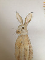 Winter Hare mini wall plate