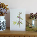 Red Dead-Nettle and Butterfly Greetings Card
