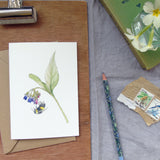 Bee and comfrey flower greetings card