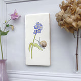 Snail and forget me not Wall Art
