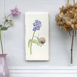Snail and forget me not Wall Art