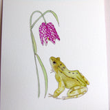 Frog and Fritillary A5 Giclée Fine Art Print