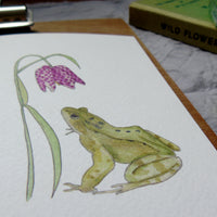 Frog and Fritillary greetings card