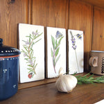 Kitchen Garden Herb Wall Art Tiles