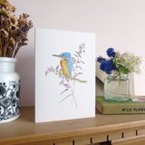 Kingfisher greetings card
